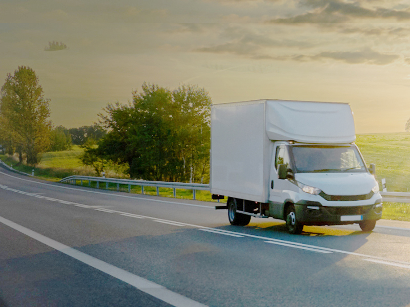 speed limiter electronic suppliers ras al khaimah